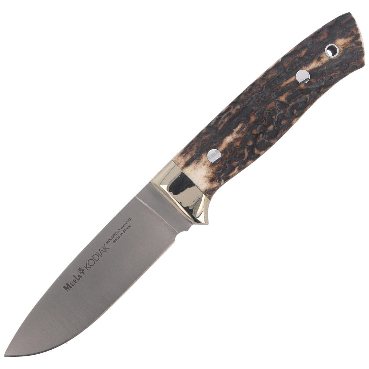 pol_pl_Noz-Muela-Full-Tang-Deer-Stag-Satin-1-4116-KODIAK-10A-101288_1.jpg