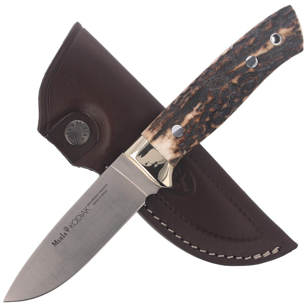 pol_pl_Noz-Muela-Full-Tang-Deer-Stag-Satin-1-4116-KODIAK-10A-101288_4.jpg