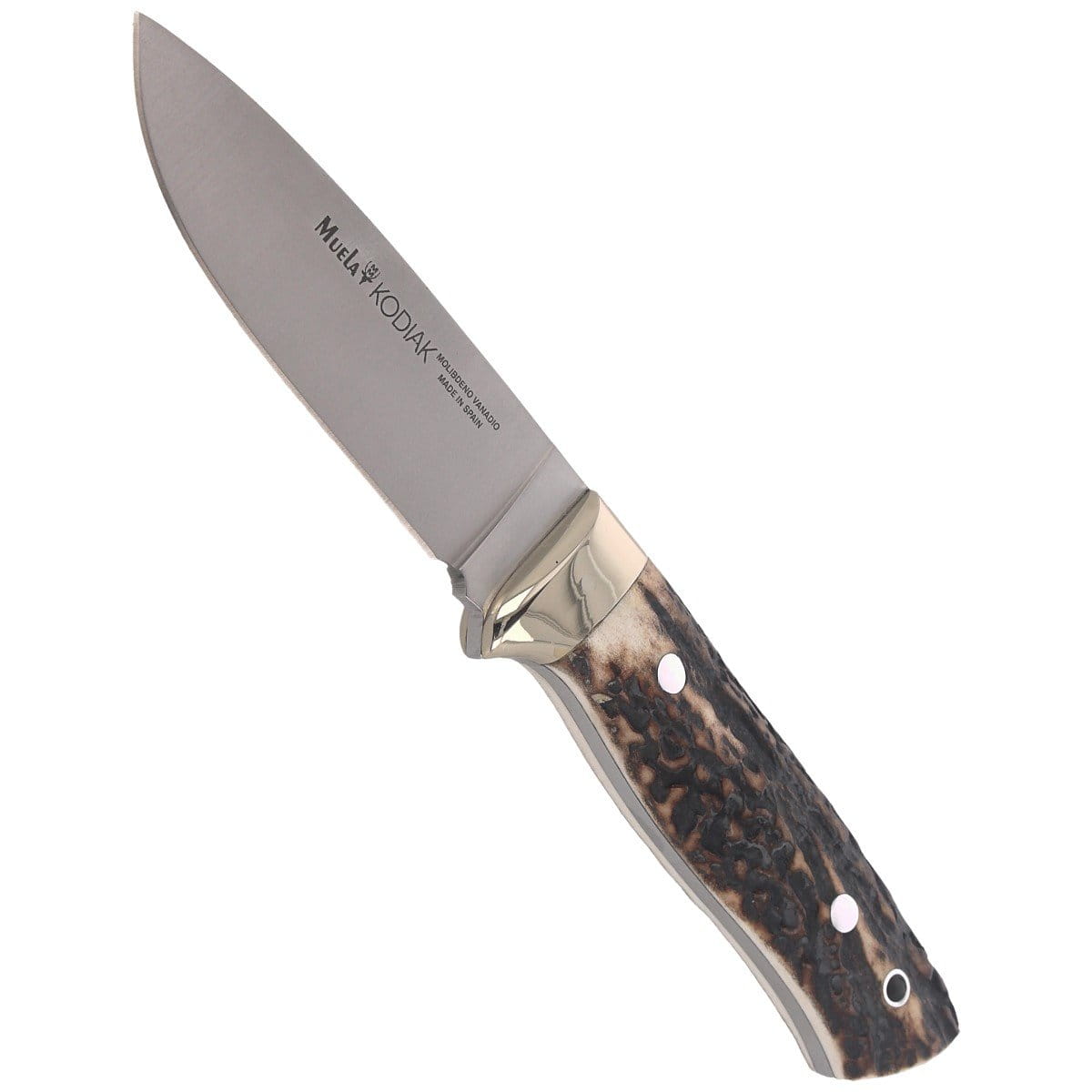 pol_pl_Noz-Muela-Full-Tang-Deer-Stag-Satin-1-4116-KODIAK-10A-101288_5.jpg