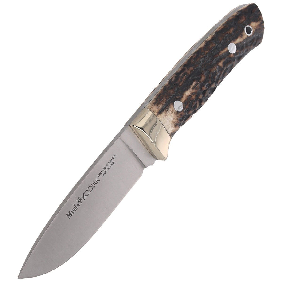 pol_pl_Noz-Muela-Full-Tang-Deer-Stag-Satin-1-4116-KODIAK-10A-101288_6.jpg