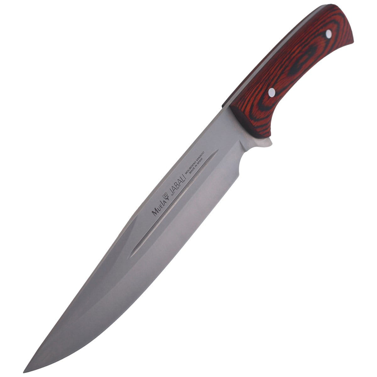 pol_pl_Noz-Muela-Full-Tang-Pakkawood-Satin-X50CrMoV15-JABALI-21E-103557_6.jpg