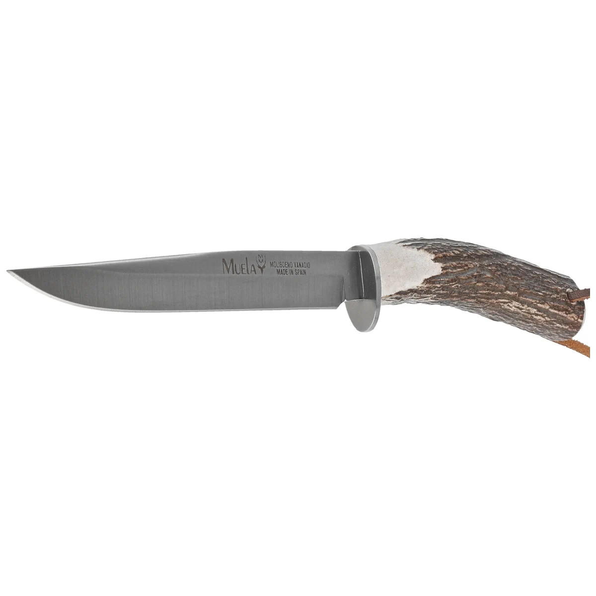 pol_pl_Noz-Muela-Gredos-Deer-Stag-Satin-X50CrMoV15-GRED-14-103556_2.webp