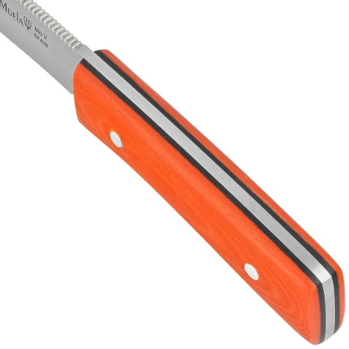 pol_pl_Noz-Muela-BWE-8-O-Orange-Canvas-Micarta-Satin-X50CrMoV15-122012_5.webp