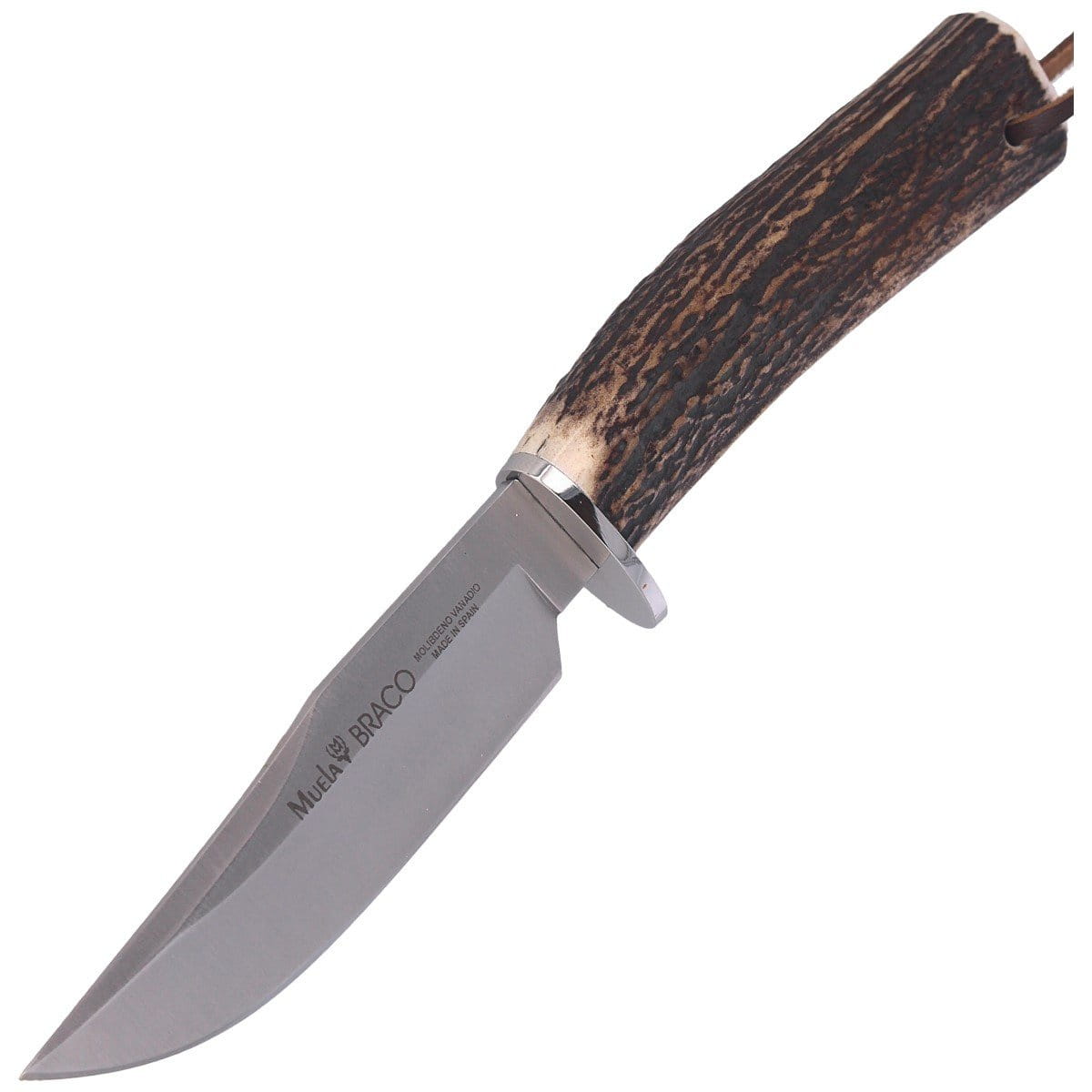 pol_pl_Noz-Muela-Braco-11A-Deer-Stag-Satin-X50CrMoV15-114299_7.jpg