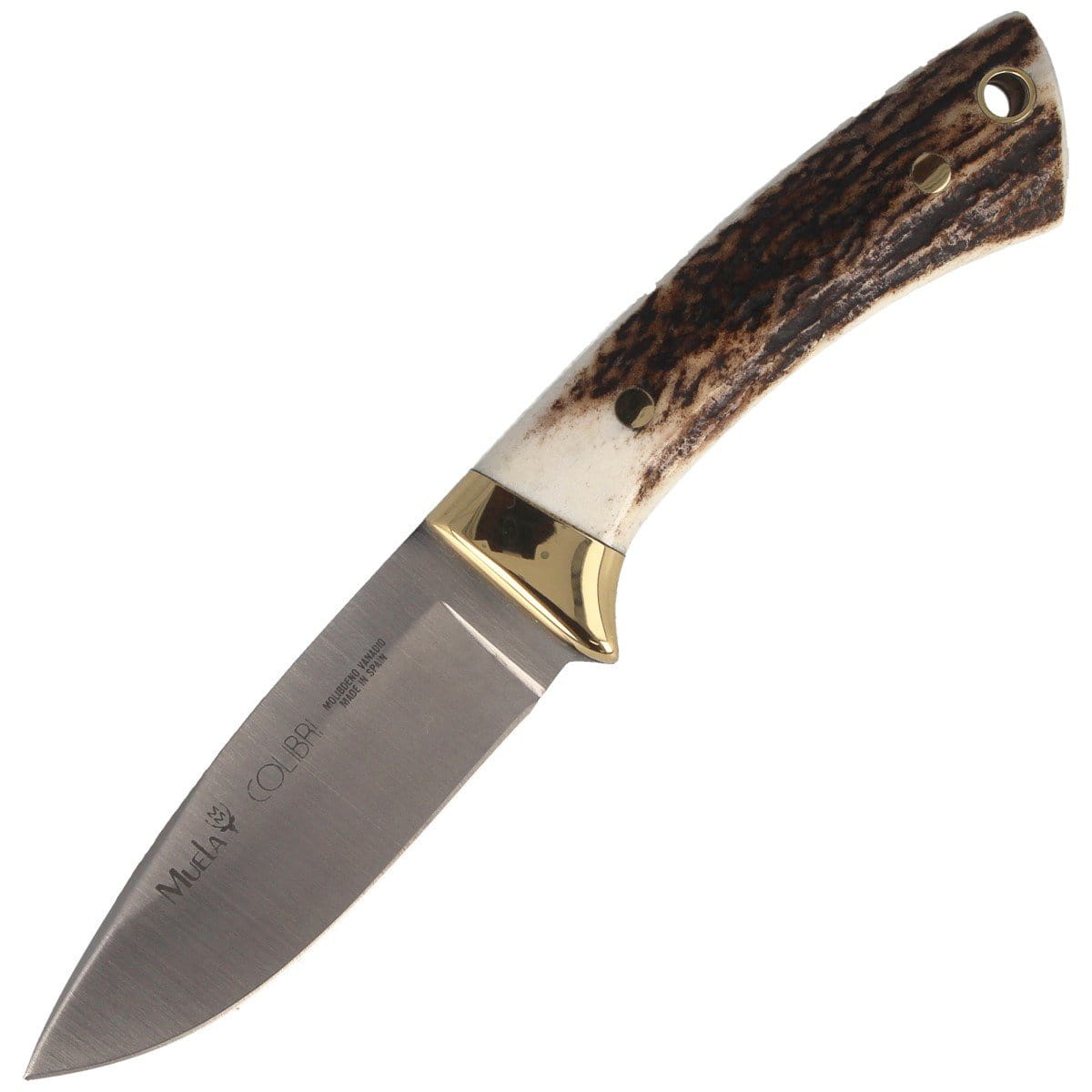 pol_pl_Noz-Muela-Colibri-COL-7A-Deer-Stag-Satin-X50CrMoV15-107484_1.jpg