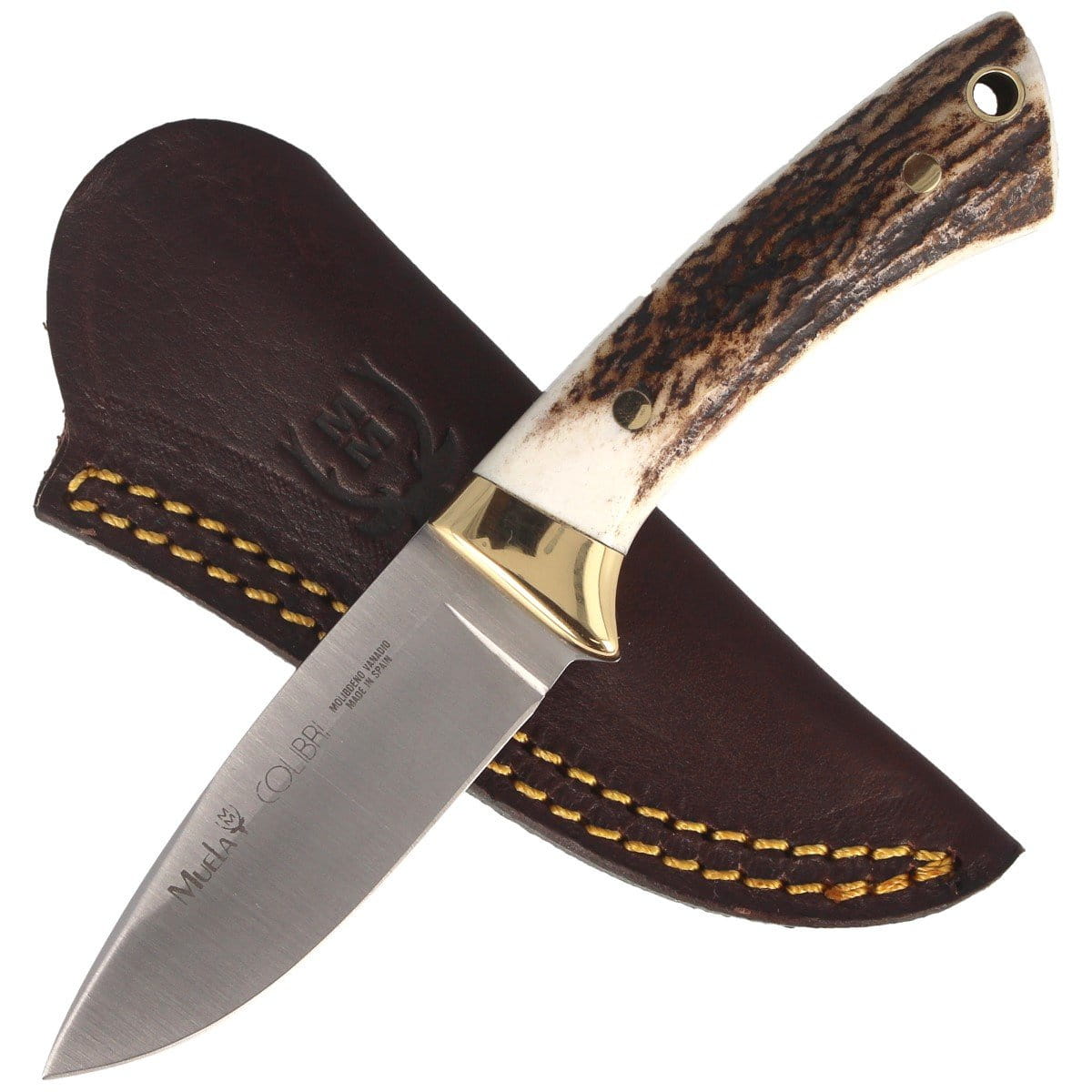 pol_pl_Noz-Muela-Colibri-COL-7A-Deer-Stag-Satin-X50CrMoV15-107484_4.jpg