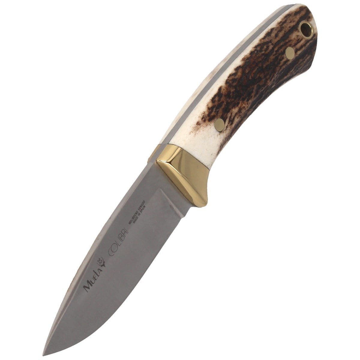 pol_pl_Noz-Muela-Colibri-COL-7A-Deer-Stag-Satin-X50CrMoV15-107484_6.jpg