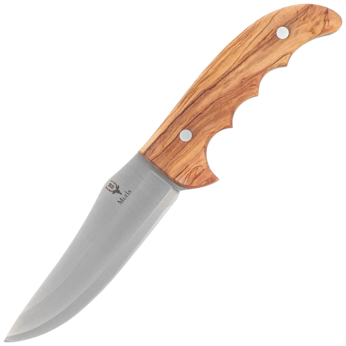 pol_pl_Noz-Muela-Outdoor-12-OL-Olive-Wood-Satin-X50CrMoV15-124786_1.webp